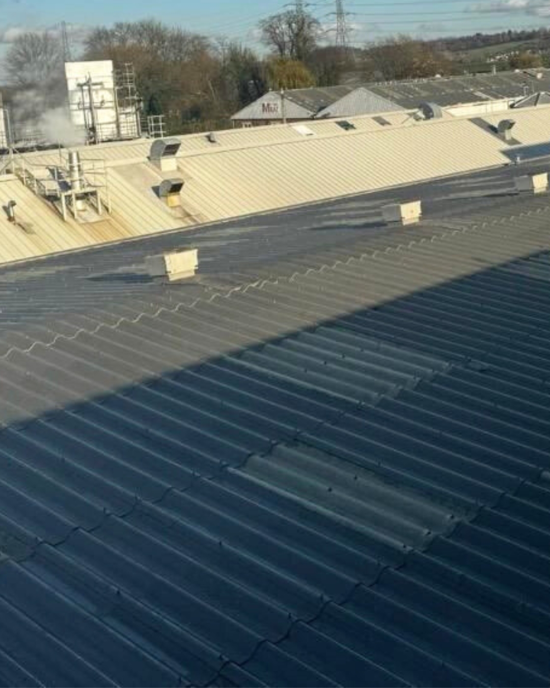 roof renovation, cleaning, and maintenance